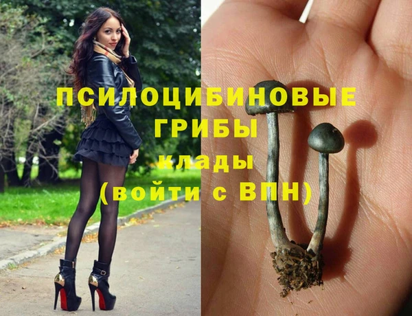 mdpv Краснослободск