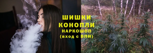 mdpv Краснослободск